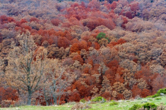 paisaje_14