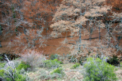 paisaje_15