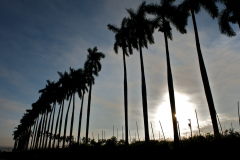 paisaje_28
