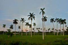 paisaje_30