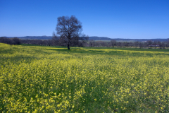 paisaje_38