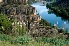paisaje_39